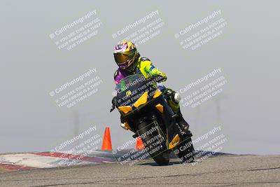 media/Feb-10-2023-TrackDaz (Fri) [[827c11d241]]/C Group/1245pm (Outside Grapevine)/